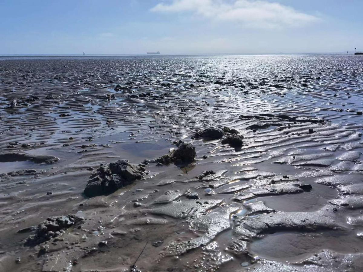 Schaake Schillig-Strandnahe Wohlfuehloase Mit Modernem Flair Und Kostenlosem Parken Luaran gambar